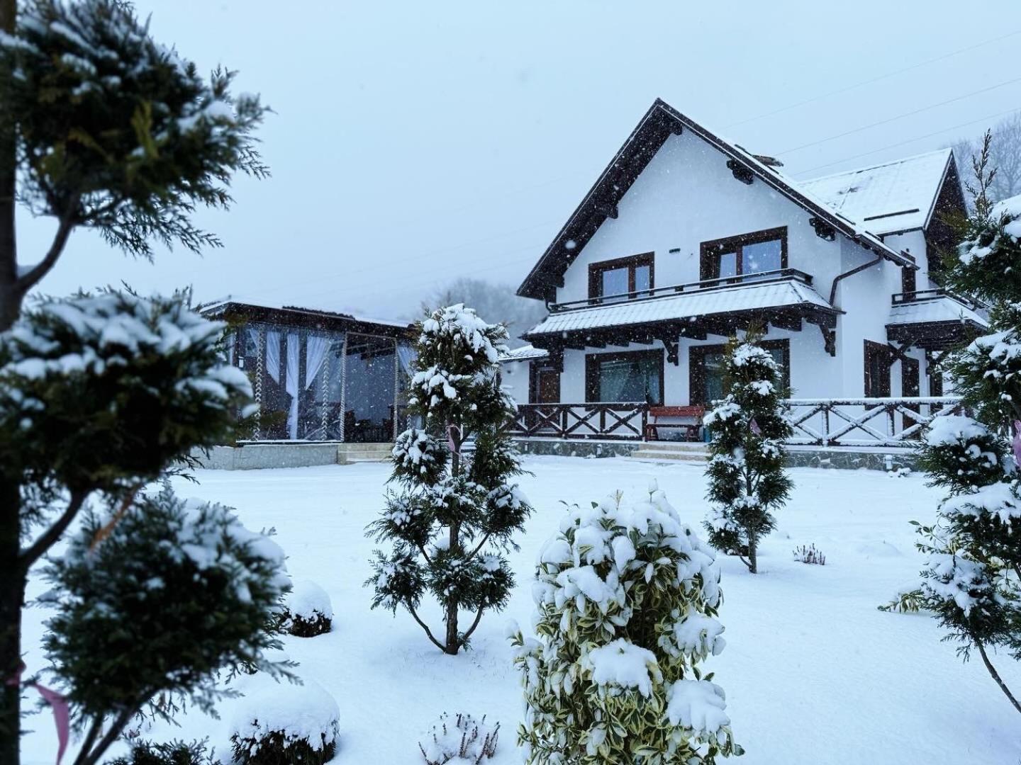 Casuta Doi Ponei Buşteni Exterior foto